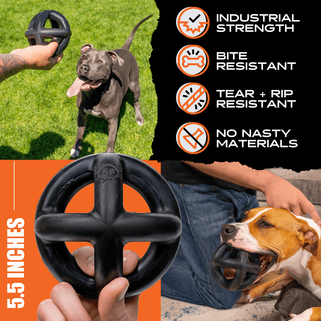 Rubber Ring Ball Dog Toy product image 3