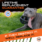 Rubber Ring Ball Dog Toy product image 4