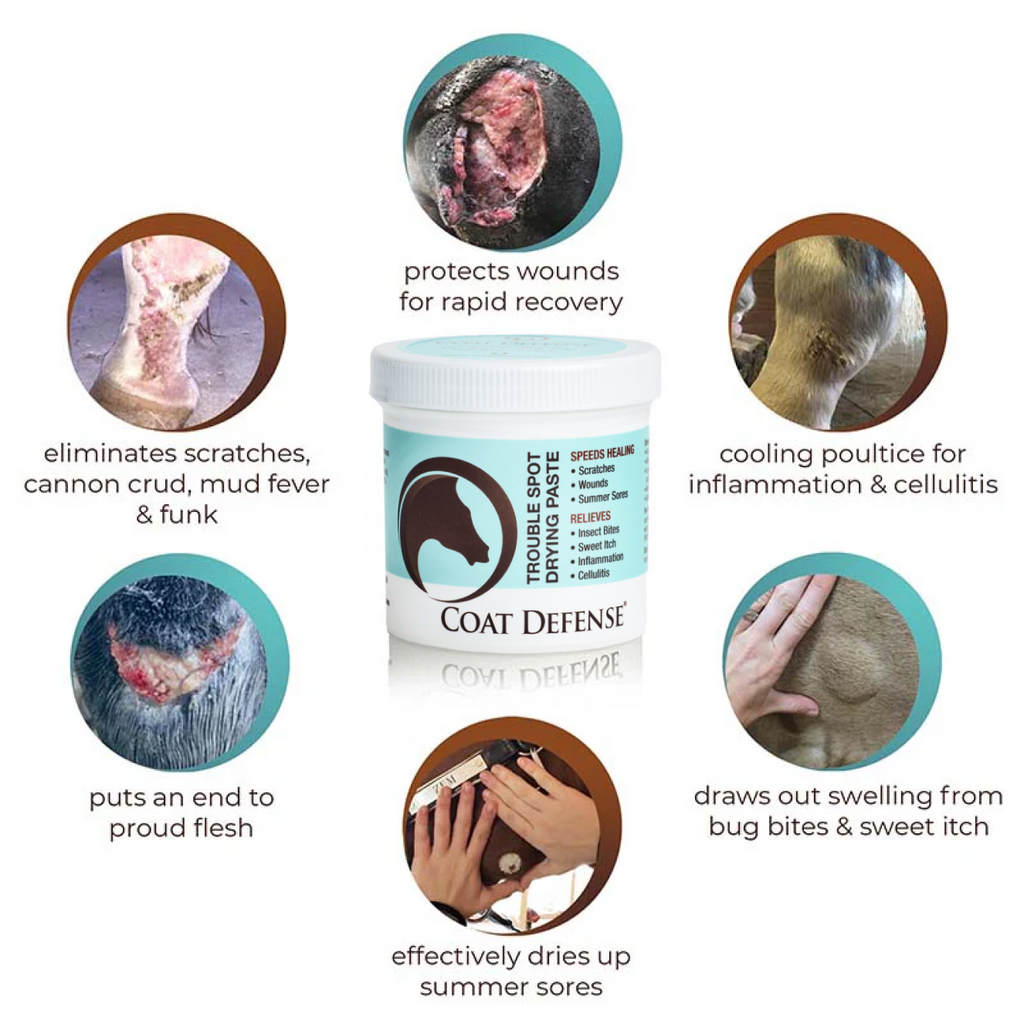 Horse Skin Care Bundle product image 3