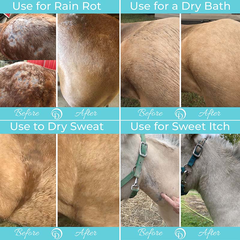 Horse Skin Care Bundle product image 8