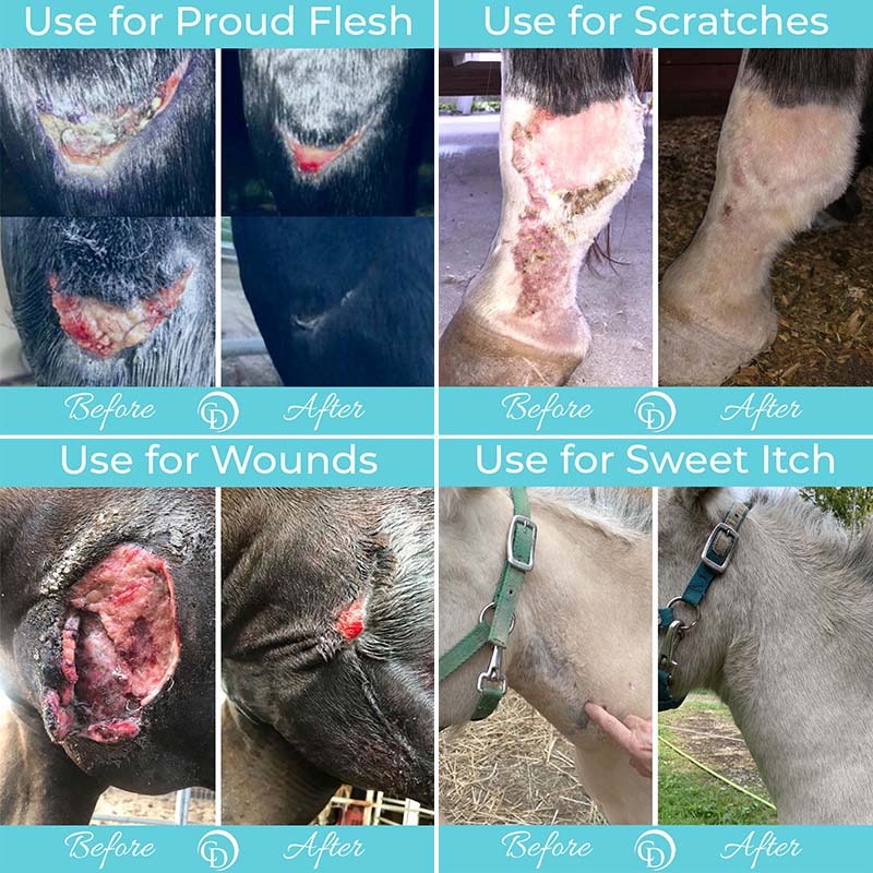 Horse Skin Care Bundle product image 9