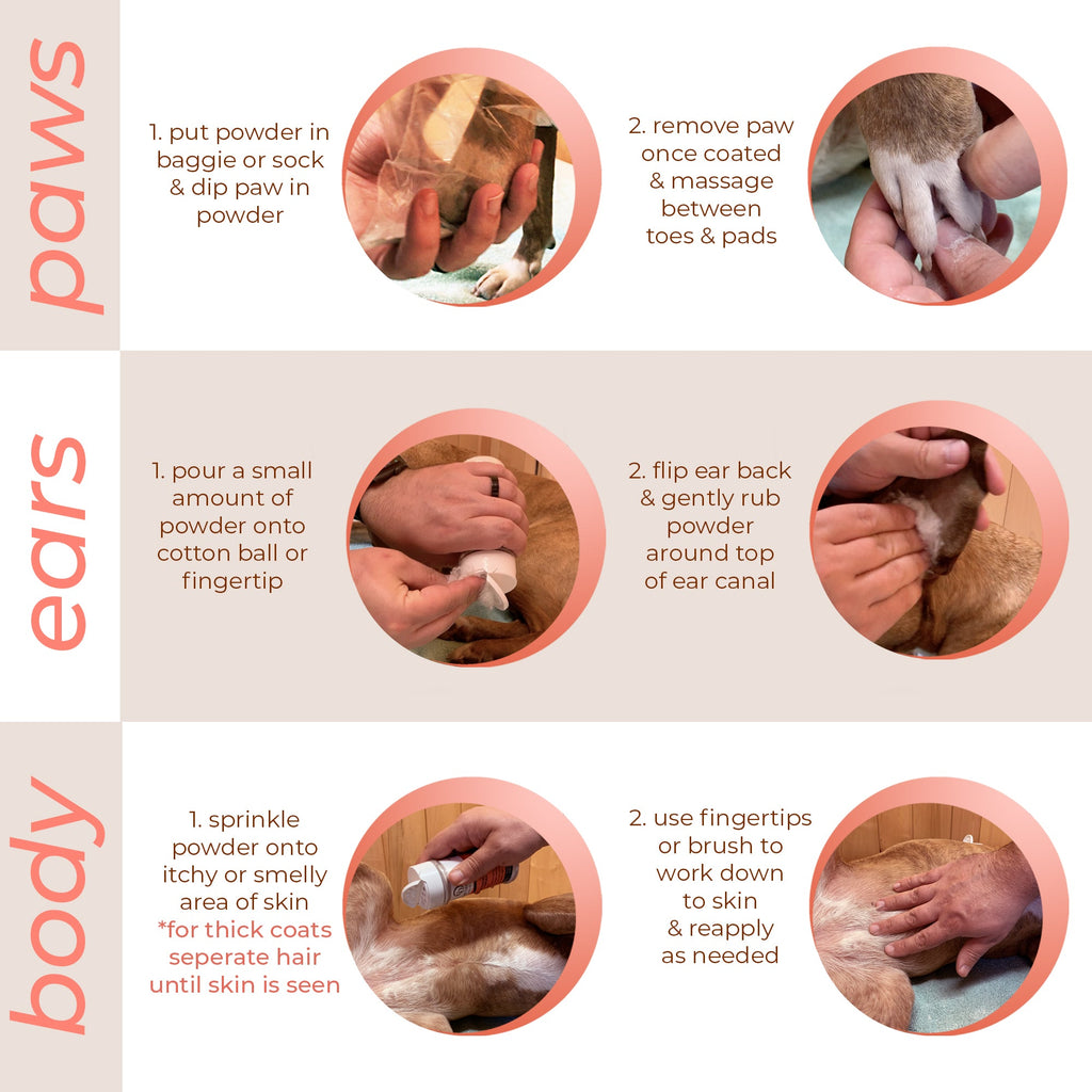 Dog Skin Care Bundle product image 6