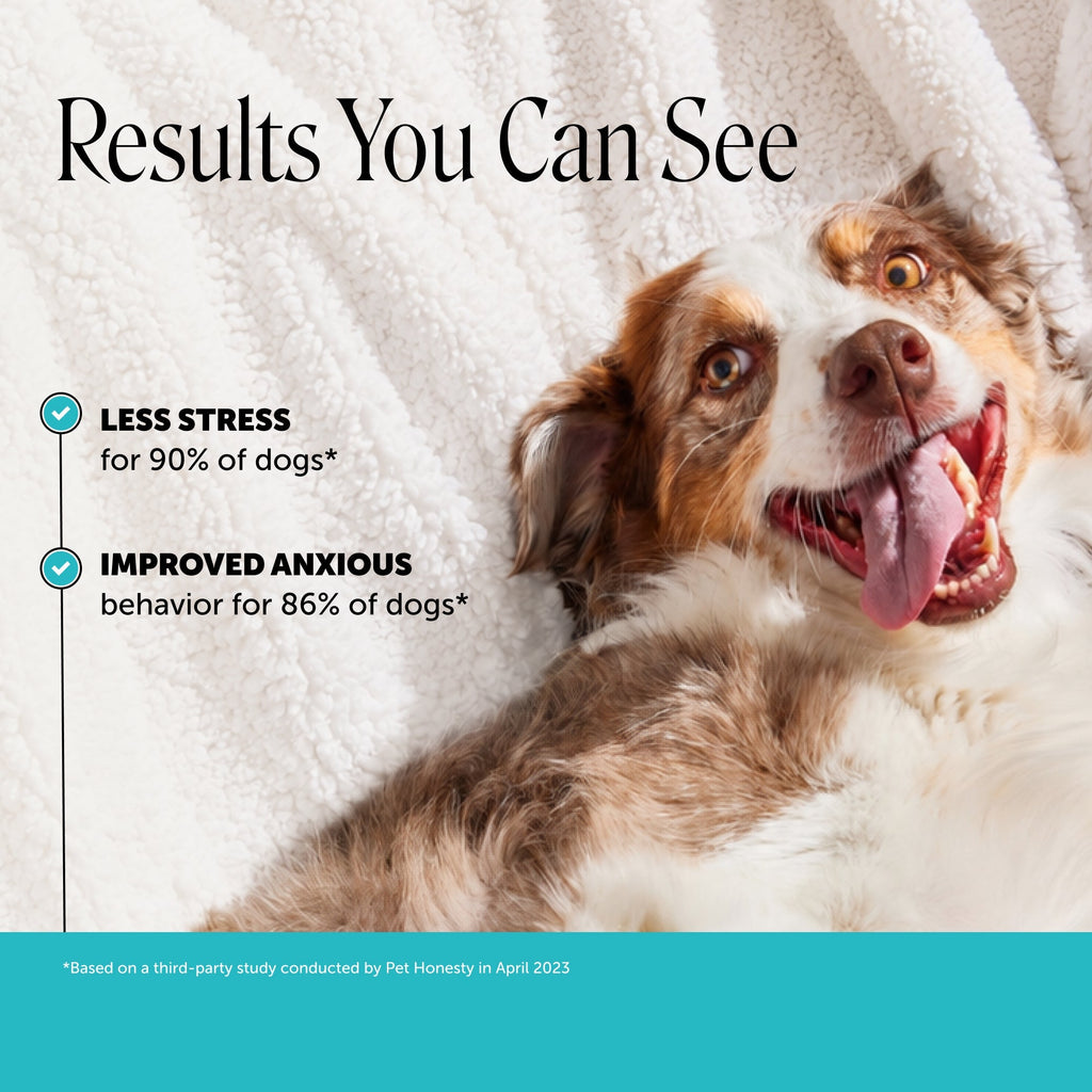 Dog Calming Soft Chews product image 2