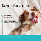 Dog Calming Soft Chews product image 2