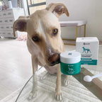 Dog Joint Supplement product image 2