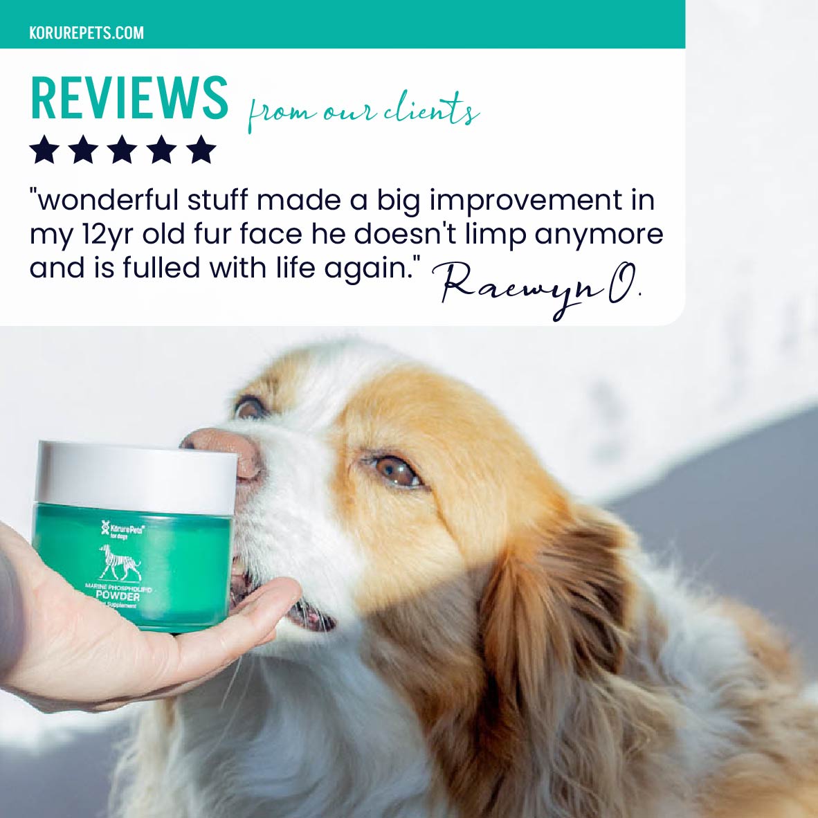 Dog Joint Supplement product image 3