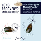 Dog Joint Supplement product image 4