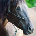 Hand-Tied Rope Horseman's Halter product image 2