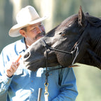 horse halter for natural horsemanship training