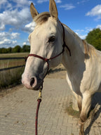 Hand-Tied Rope Horseman's Halter product image 6
