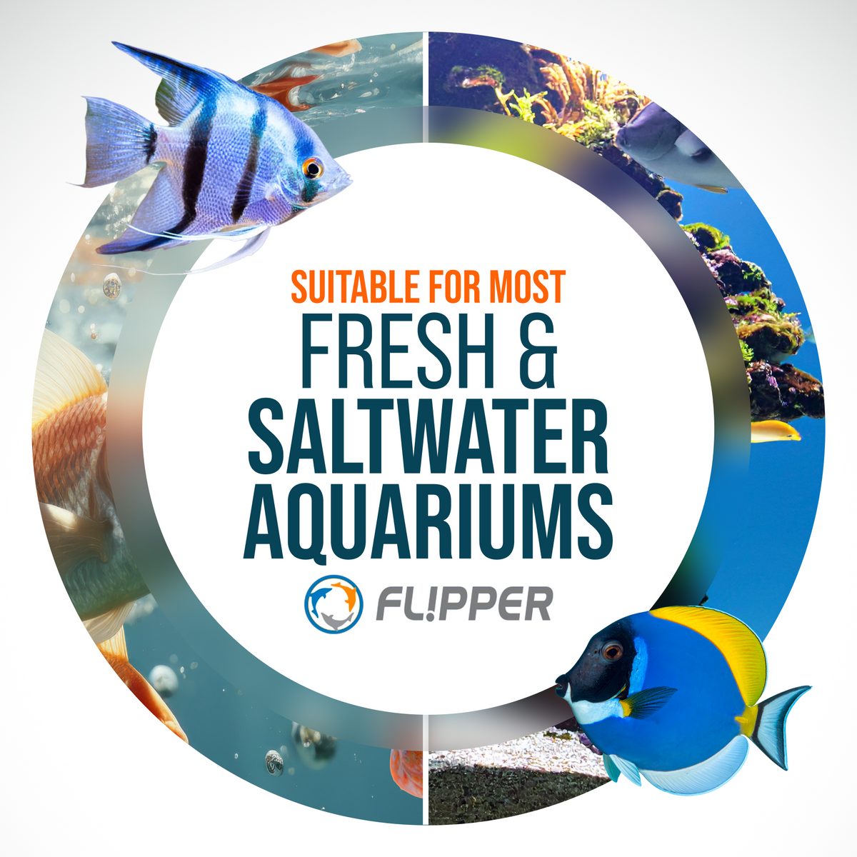 Magnetic Aquarium Cleaner product image 7