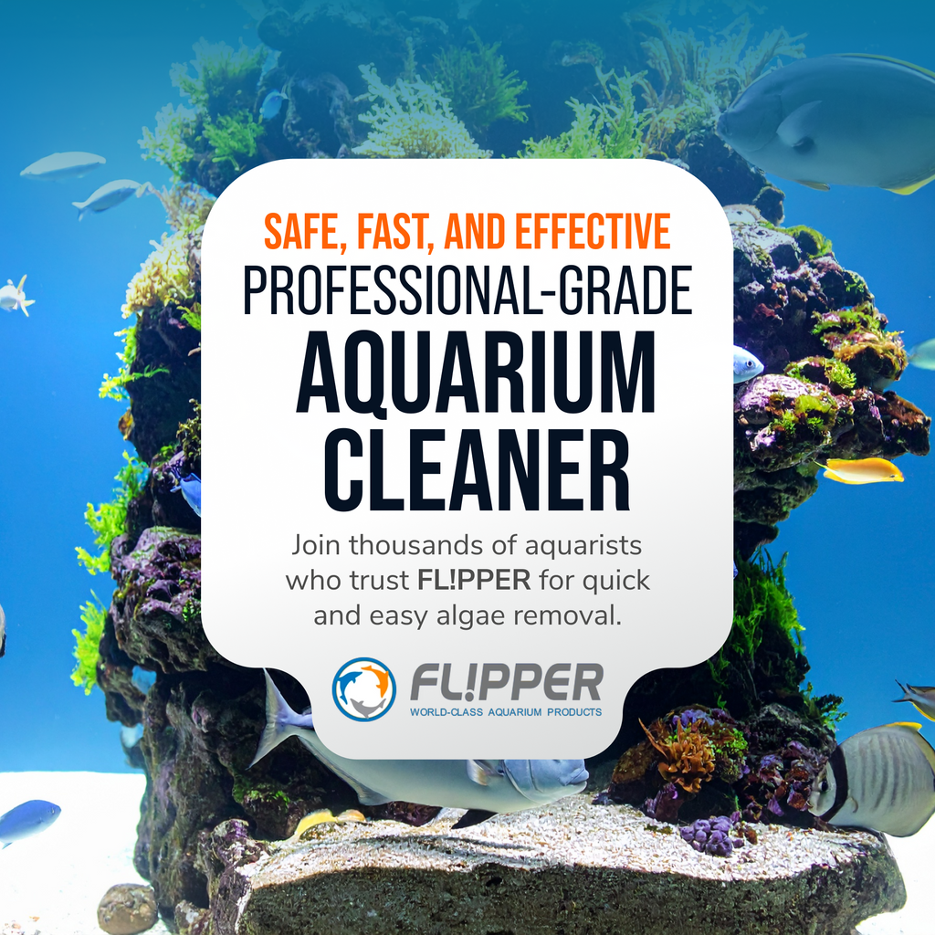 Magnetic Aquarium Cleaner product image 8