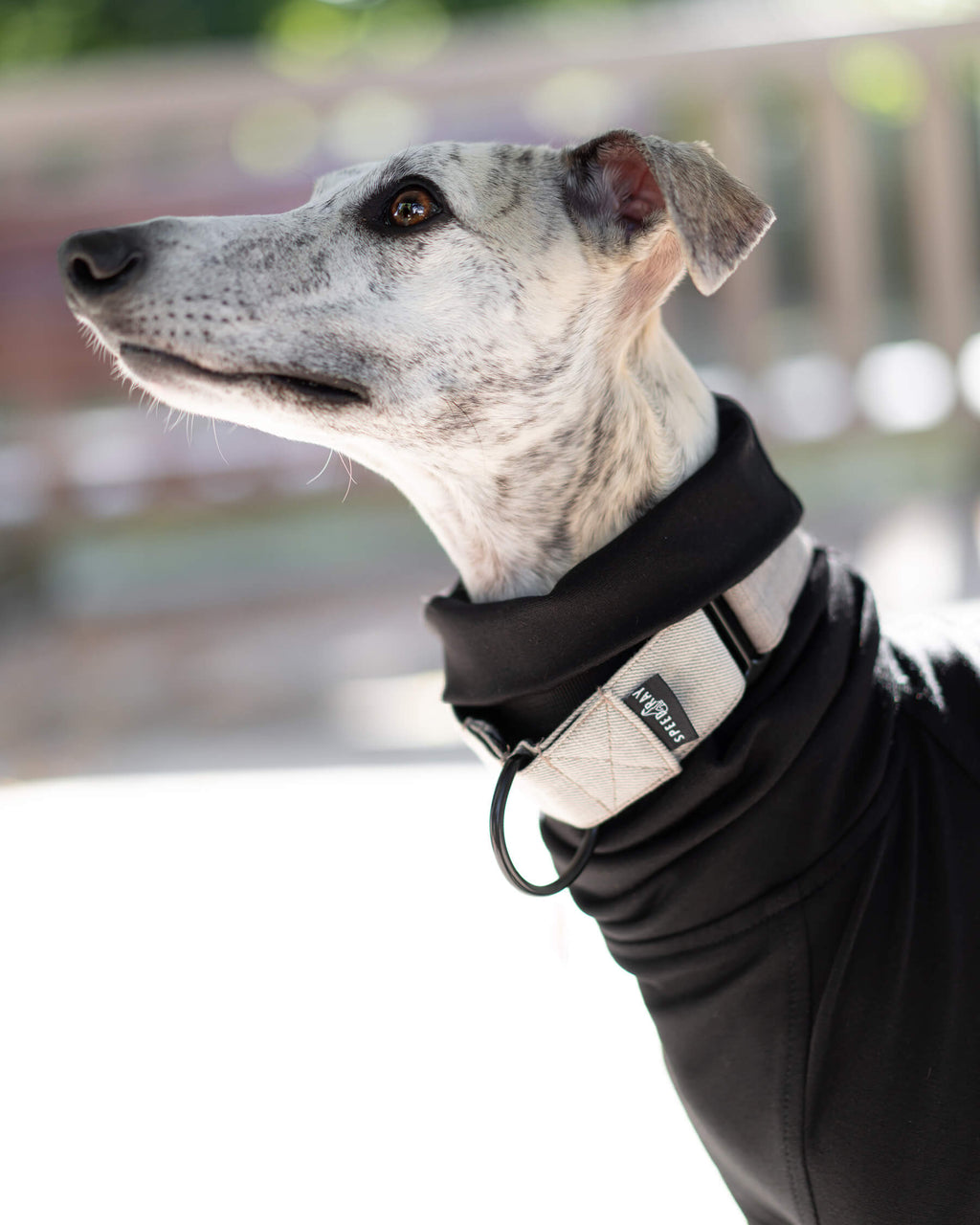Dog Martingale Collar product image 1