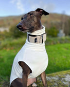Dog Martingale Collar product image 4