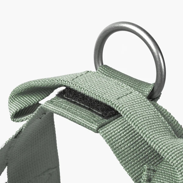 Adjustable Grab-Handle Dog Harness product image 71