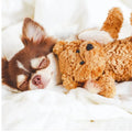 Dog Food Topper product image 1