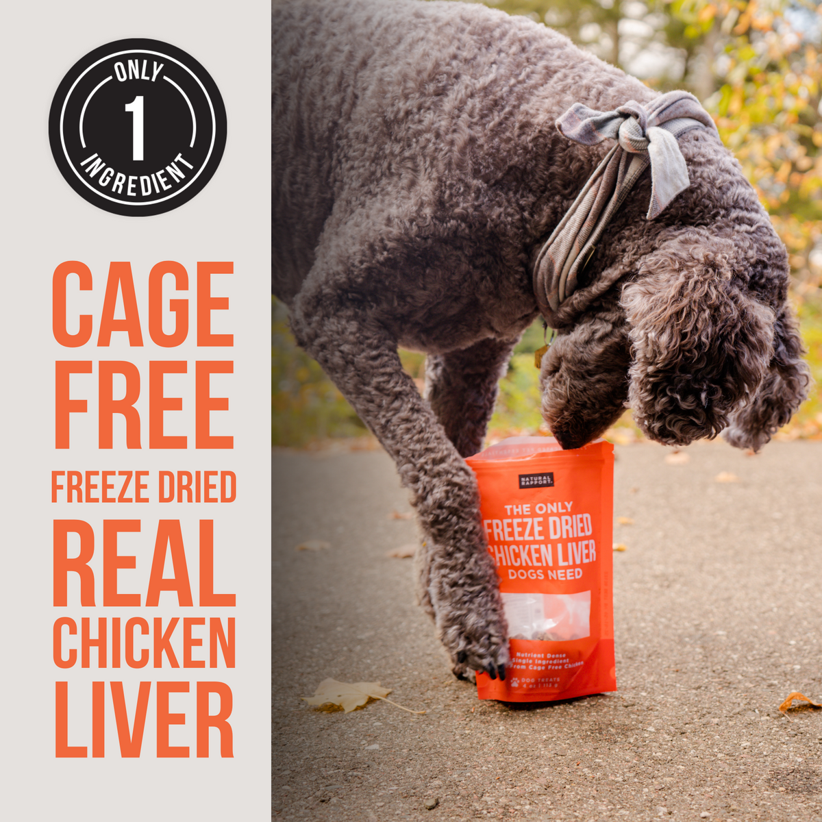 Freeze-Dried Dog Treats product image 3