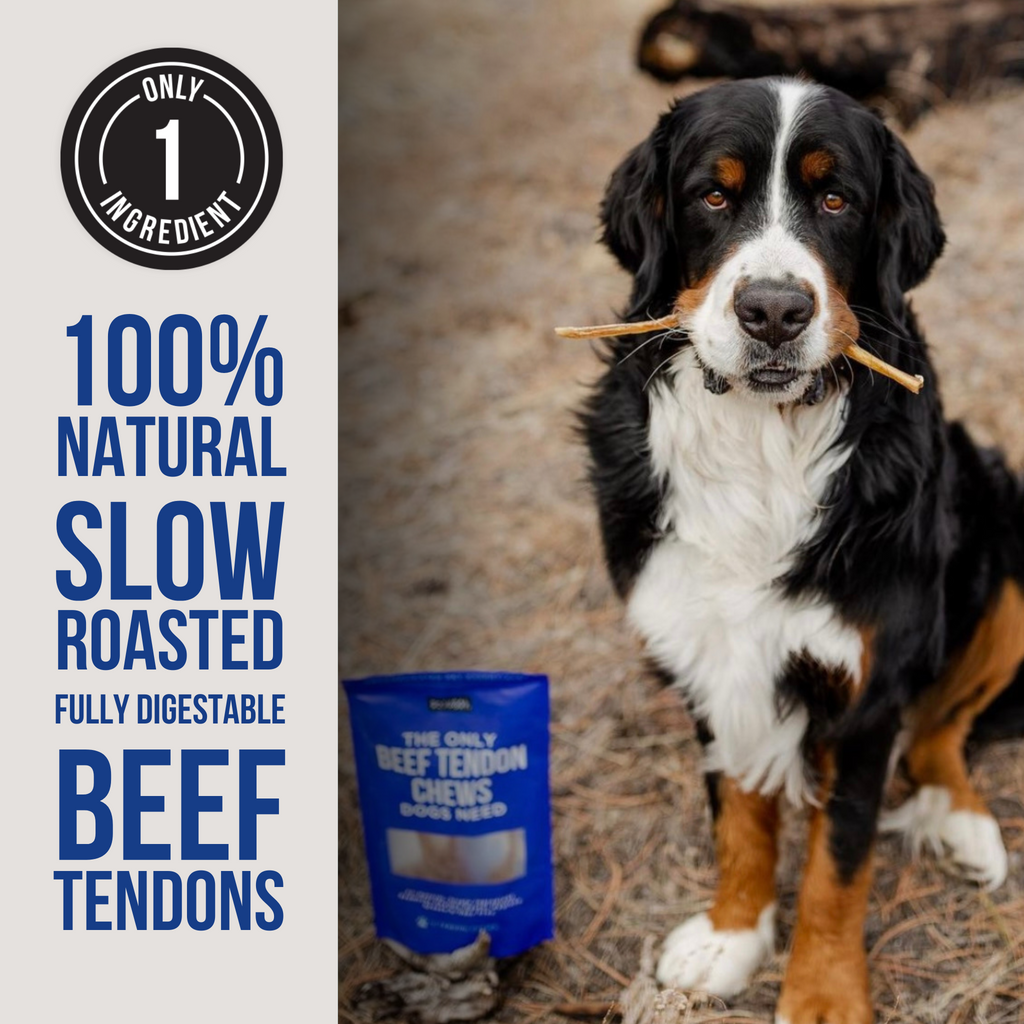 Beef Tendon Chews product image 3