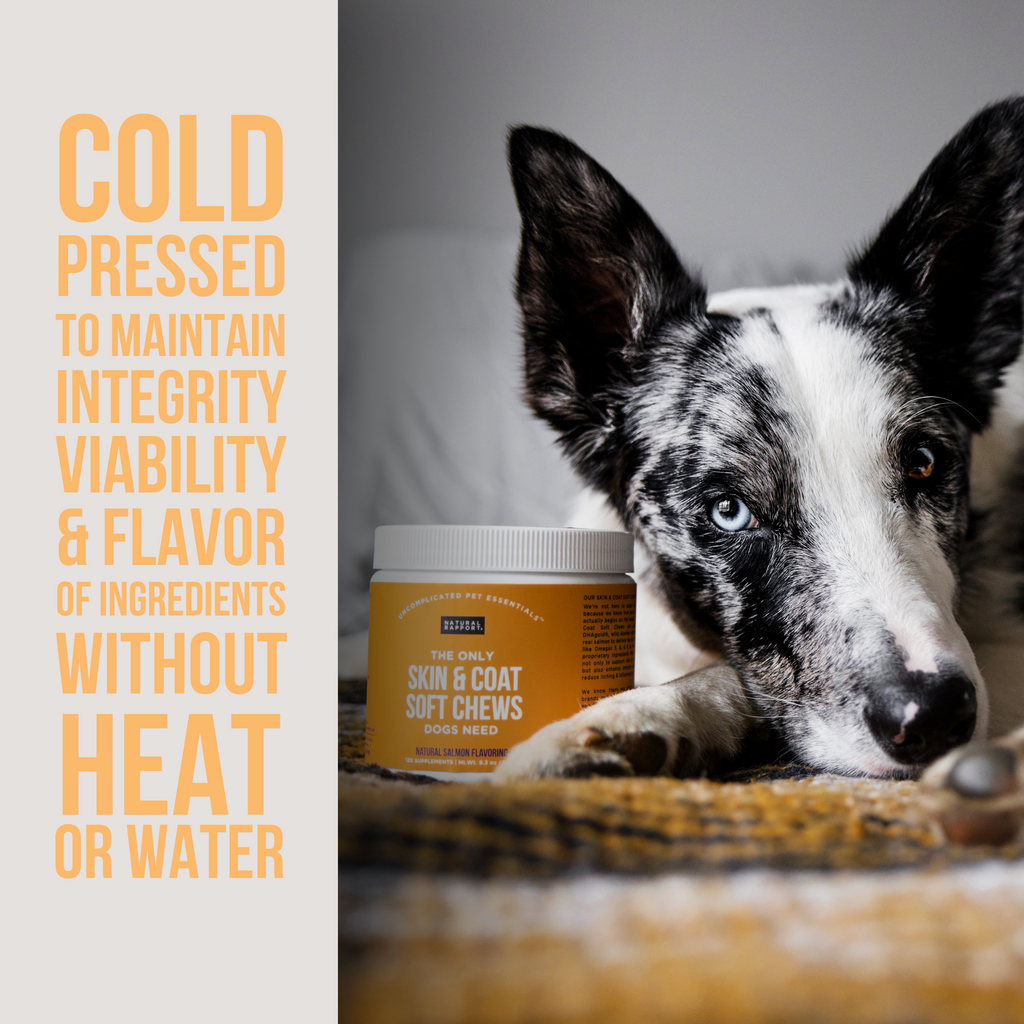 Dog Skin & Coat Soft Chews product image 3