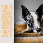 Dog Skin & Coat Soft Chews product image 3