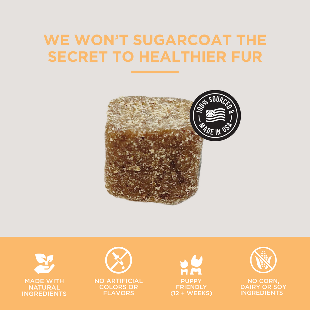 Dog Skin & Coat Soft Chews product image 4