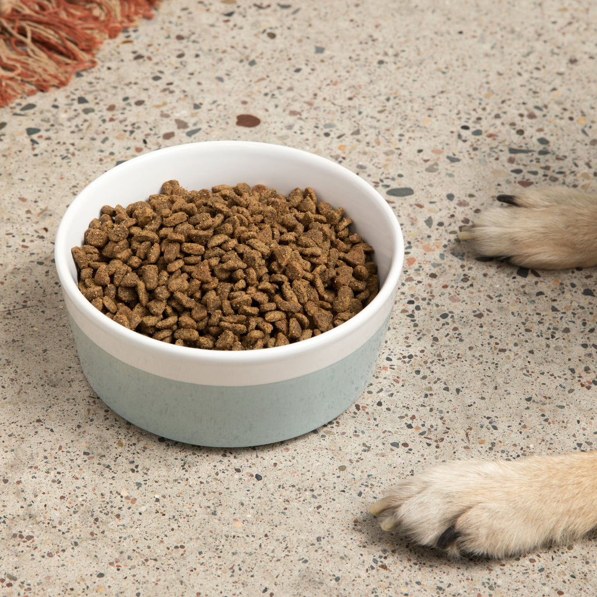 Ceramic Dog Bowl product image 3