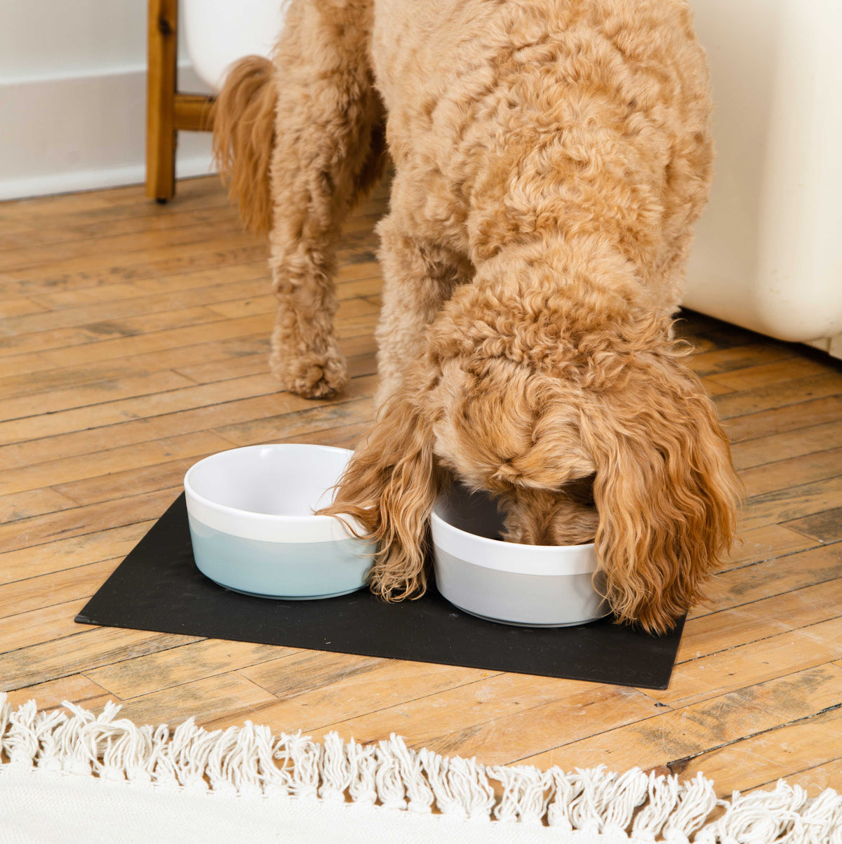 Ceramic Dog Bowl product image 4