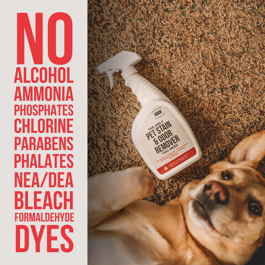 Pet Stain Remover product image 3