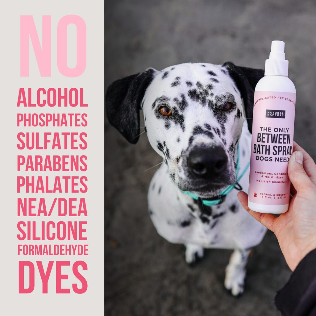 Dog Deodorizing Spray product image 3
