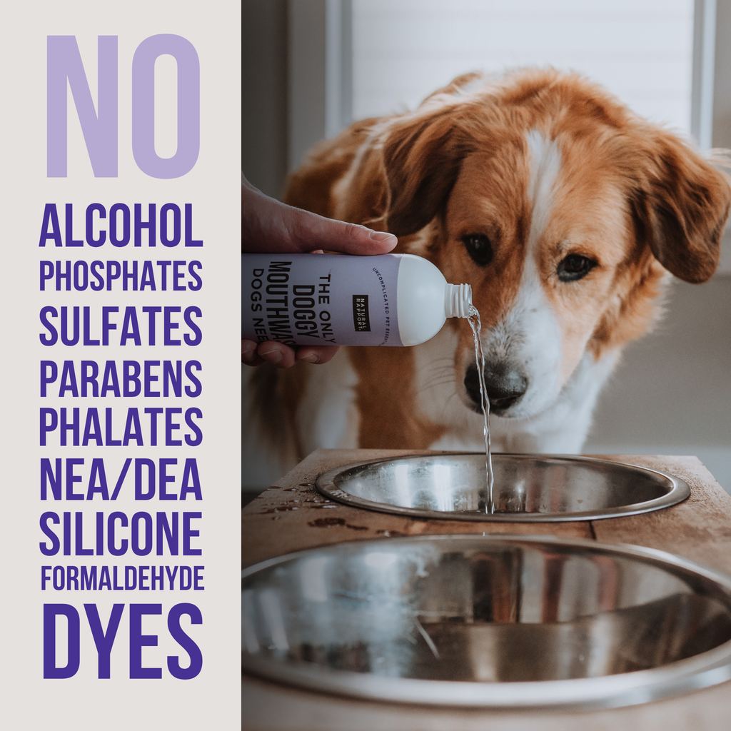 Dog Mouthwash product image 3