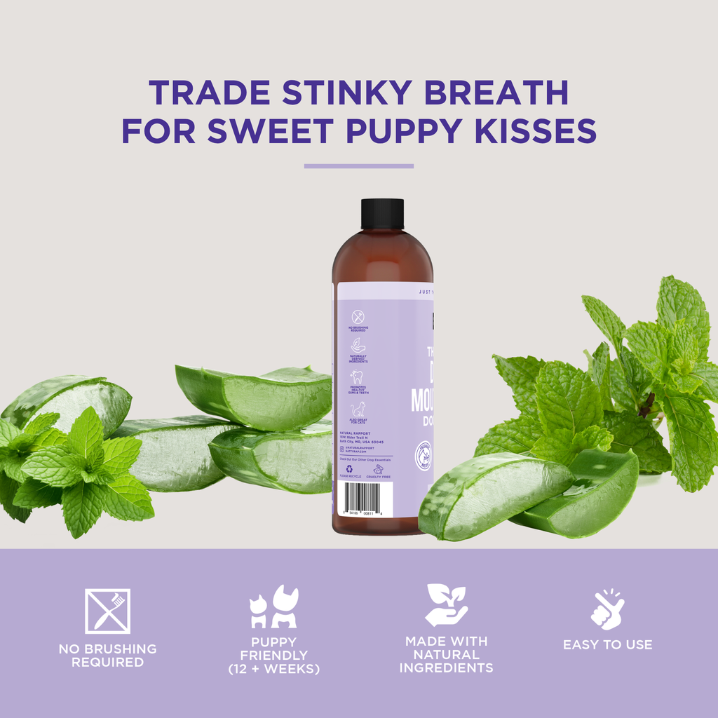 Dog Mouthwash product image 4