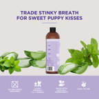 Dog Mouthwash product image 4