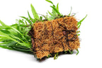 Live Aquarium Plant product image 4