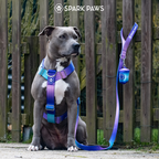 No-Pull Dog Harness Walking Set product image 7