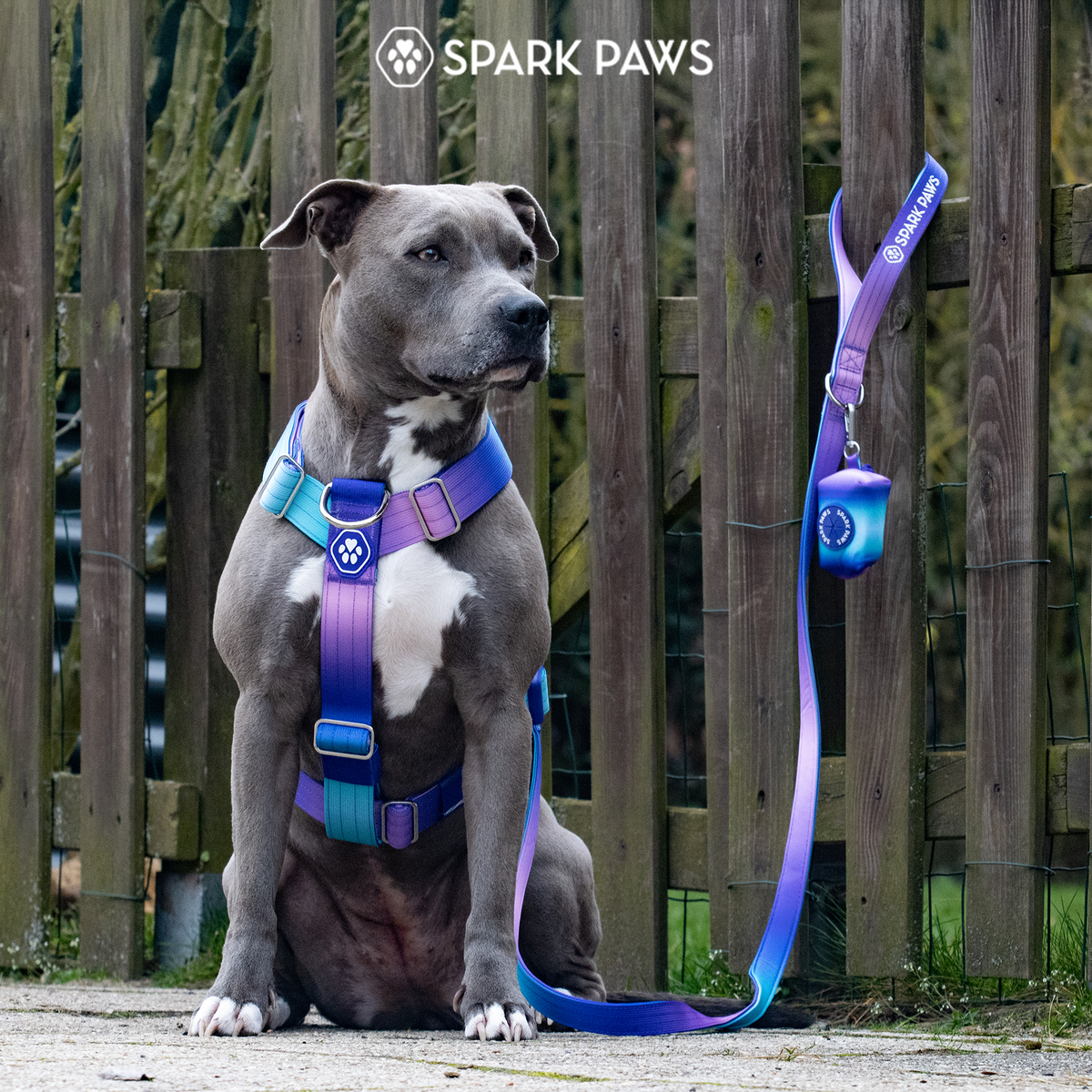 No-Pull Dog Harness Walking Set product image 7