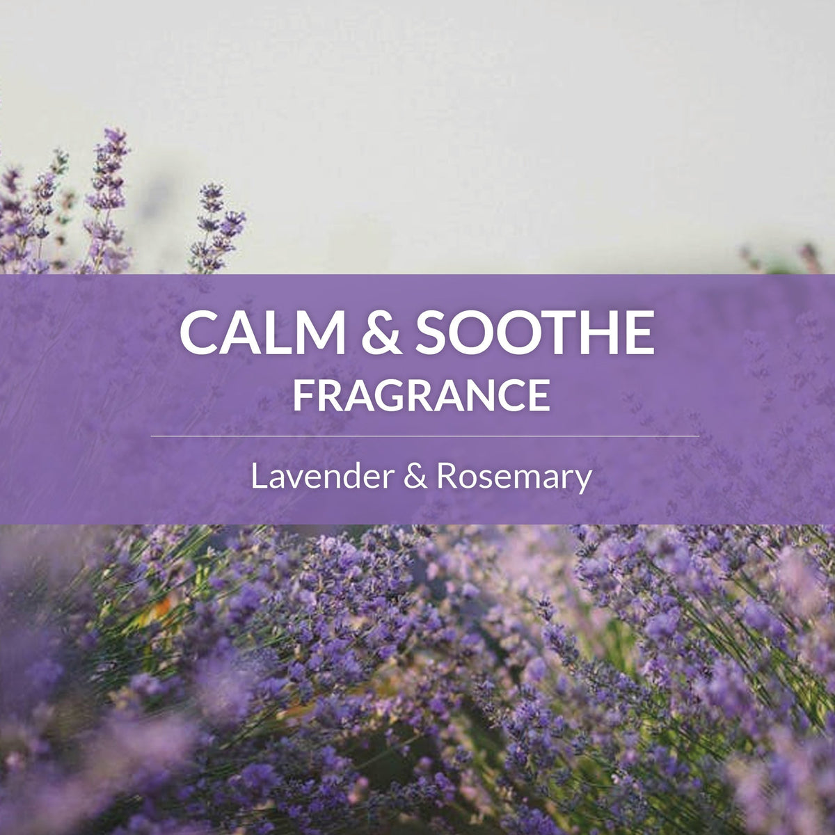 Probiotic Pet Shampoo and Conditioner product image 51