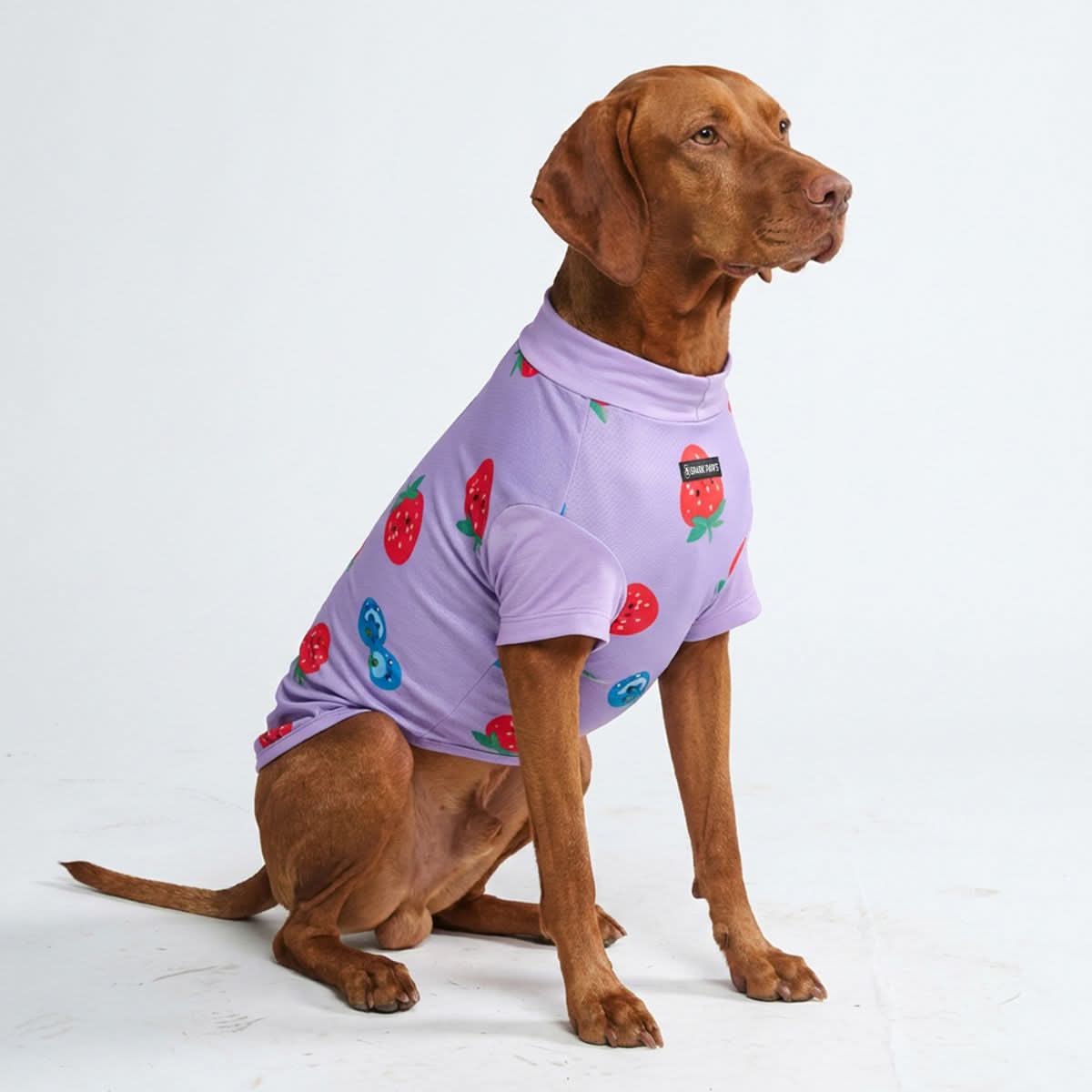 UPF 30 Printed Dog Sun Shirt product image 25
