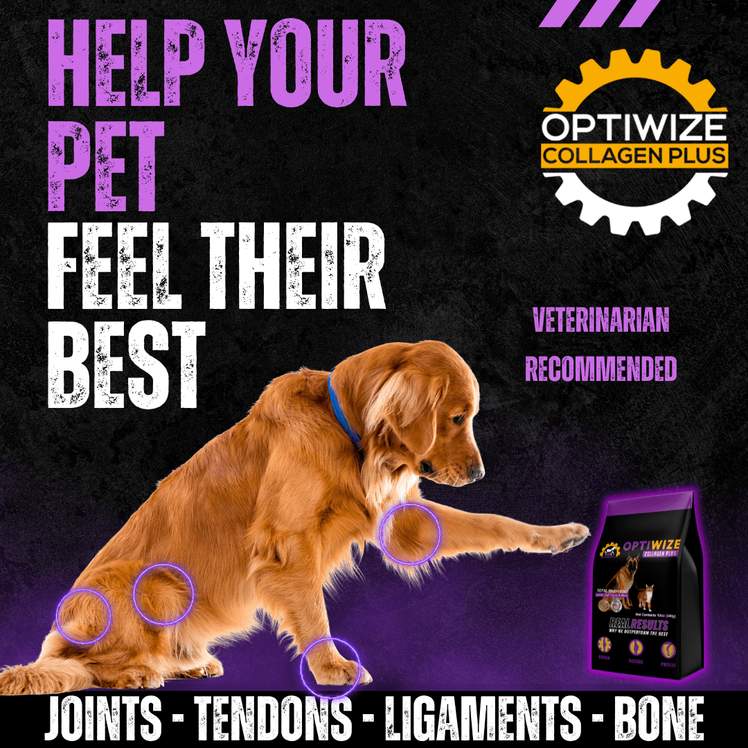 Collagen Joint Support Supplement product image 5