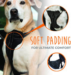 Adjustable Vehicle Safety Harness