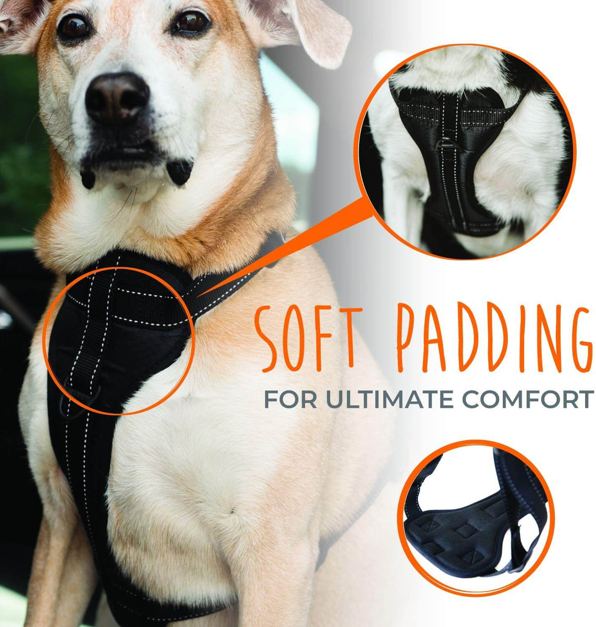 Adjustable Vehicle Safety Harness