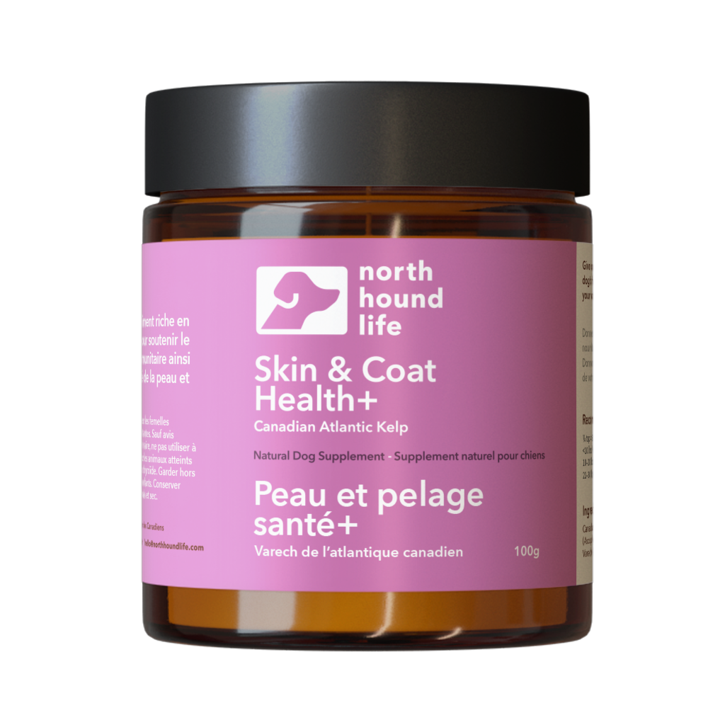 Dog Kelp Supplement product image 1