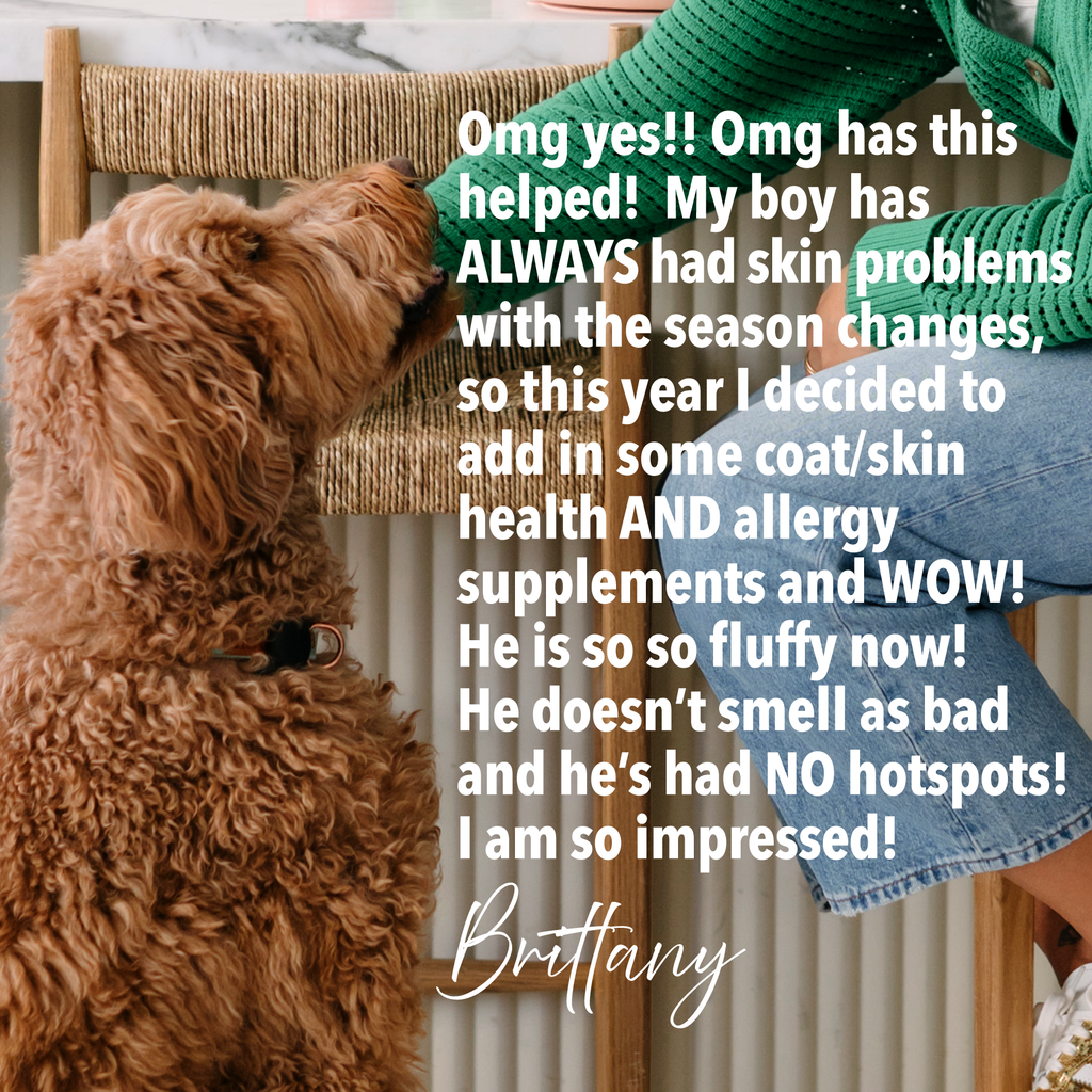 Dog Kelp Supplement product image 3
