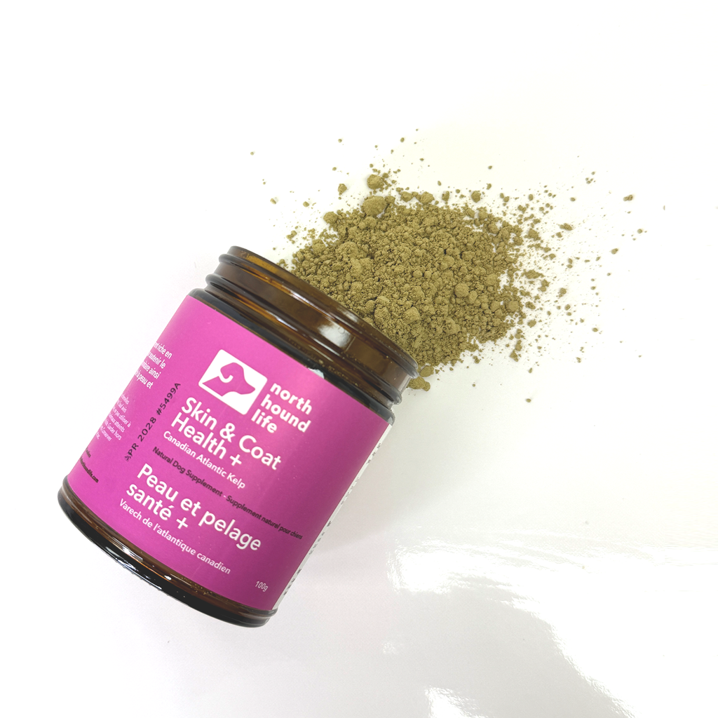 Dog Kelp Supplement product image 8