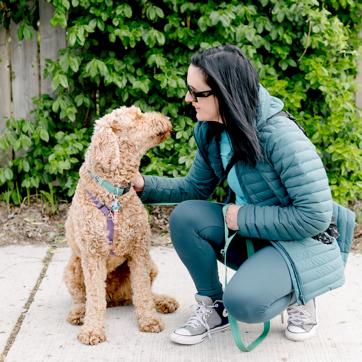 Dog Kelp Supplement product image 9