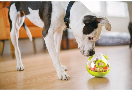 Dog Treat Dispenser Toy product image 3