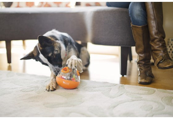 Dog Treat Dispenser Toy product image 4