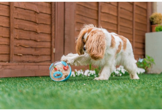 Dog Treat Dispenser Toy product image 5