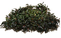 Live Aquarium Plant product image 1