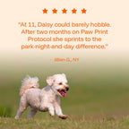 Liquid Dog Wellness Supplement product image 9