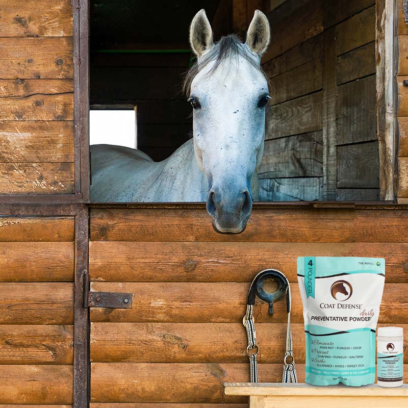 Horse Grooming Powder product image 5